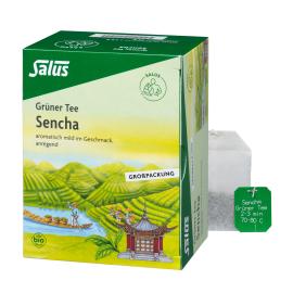 Grüner Tee Bio Salus Filterbeutel Großpackung