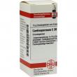 Cardiospermum C 30 Globuli